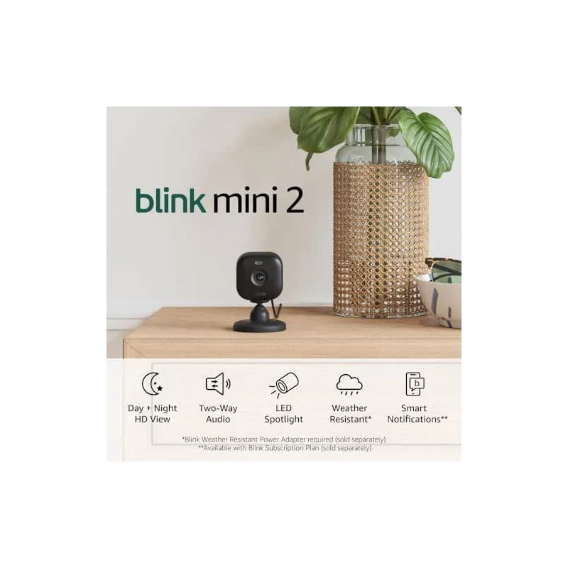 Blink Mini 2 — Home Security & Pet Camera(s) with HD video, color night view, motion detection, two-way audio, and built-in spotlight — 1 camera (Black)