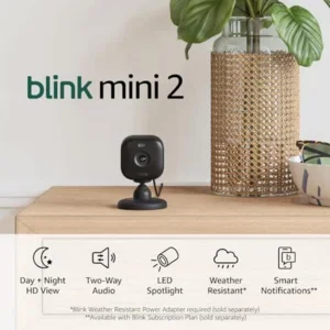 Blink Mini 2 — Home Security & Pet Camera(s) with HD video, color night view, motion detection, two-way audio, and built-in spotlight — 1 camera (Black)